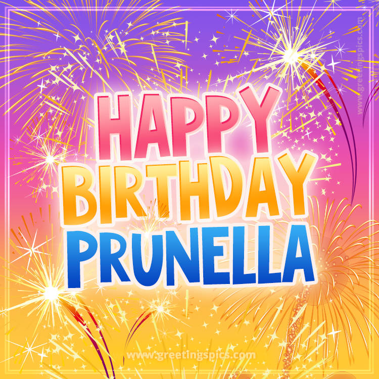 Happy Birthday Prunella Picture with fireworks (square shape image)