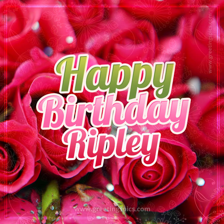 Happy Birthday Ripley beautiful Image with red roses (square shape image)