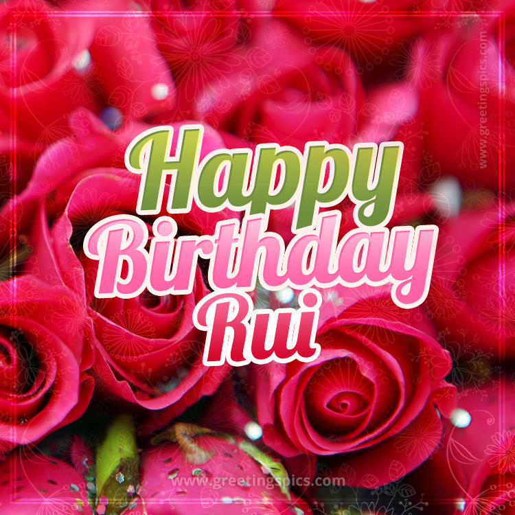 Happy Birthday Rui beautiful Image with red roses (square shape image)