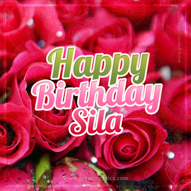 Happy Birthday Sila beautiful Image with red roses (square shape image)