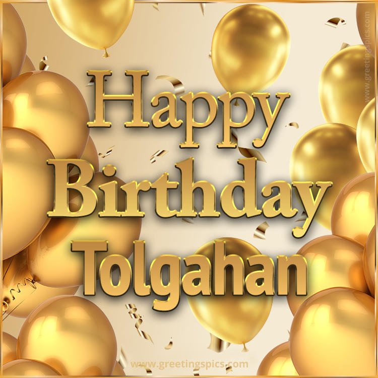 Happy Birthday Tolgahan Card with golden confetti and balloons (square shape image)