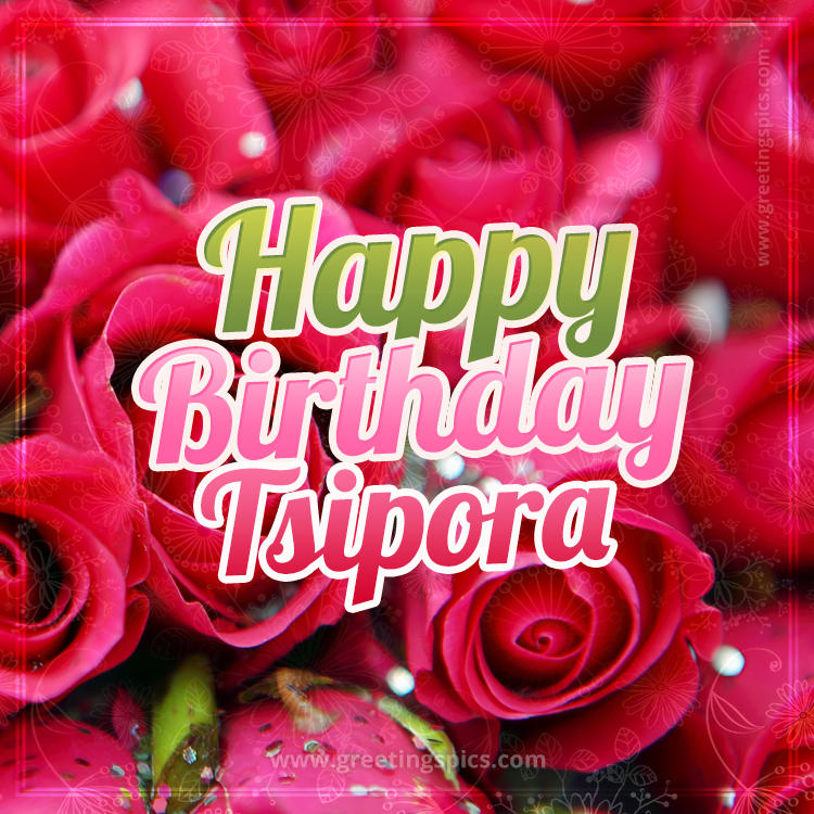 Happy Birthday Tsipora beautiful Image with red roses (square shape image)