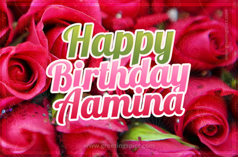 Happy Birthday Aamina beautiful Image with red roses