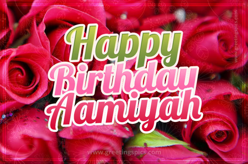 Happy Birthday Aamiyah beautiful Image with red roses