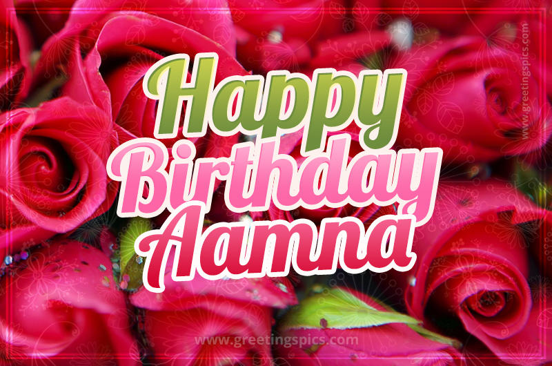 Happy Birthday Aamna beautiful Image with red roses