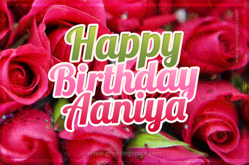 Happy Birthday Aaniya beautiful Image with red roses