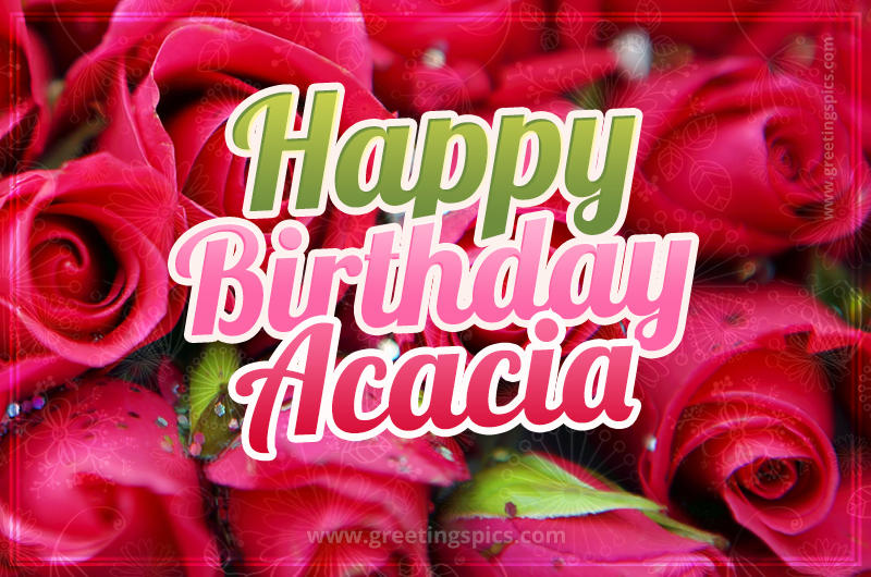 Happy Birthday Acacia beautiful Image with red roses