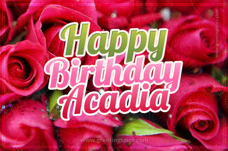 Happy Birthday Acadia beautiful Image with red roses