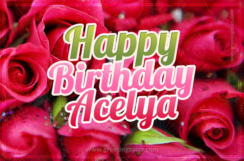 Happy Birthday Acelya beautiful Image with red roses