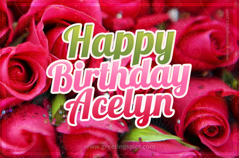 Happy Birthday Acelyn beautiful Image with red roses