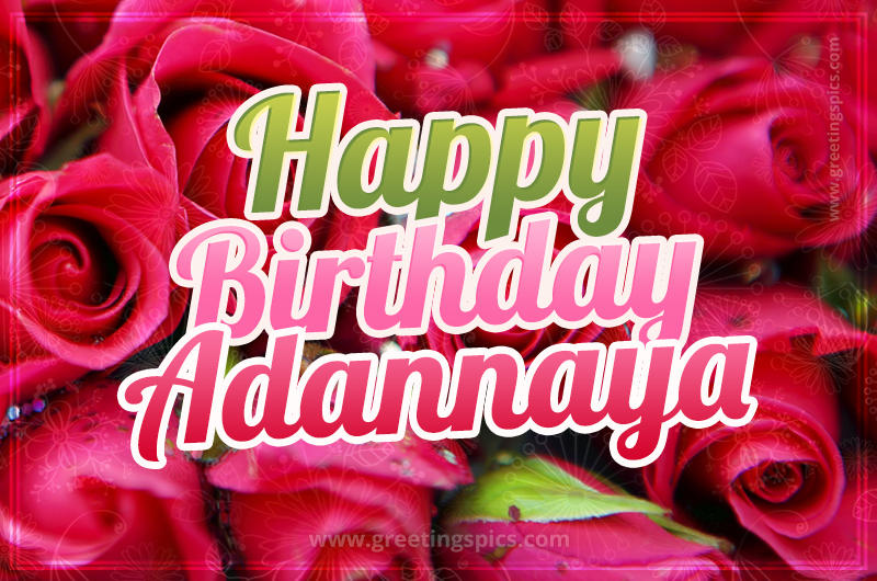 Happy Birthday Adannaya beautiful Image with red roses