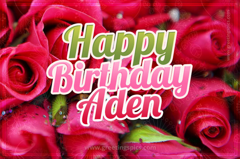 Happy Birthday Aden beautiful Image with red roses