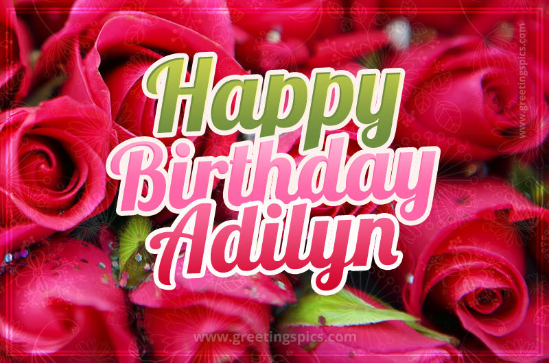 Happy Birthday Adilyn beautiful Image with red roses