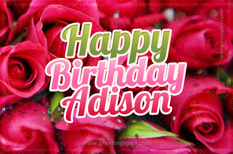 Happy Birthday Adison beautiful Image with red roses