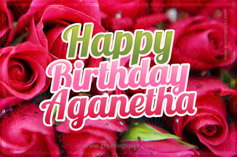 Happy Birthday Aganetha beautiful Image with red roses