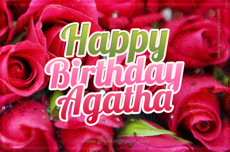 Happy Birthday Agatha beautiful Image with red roses