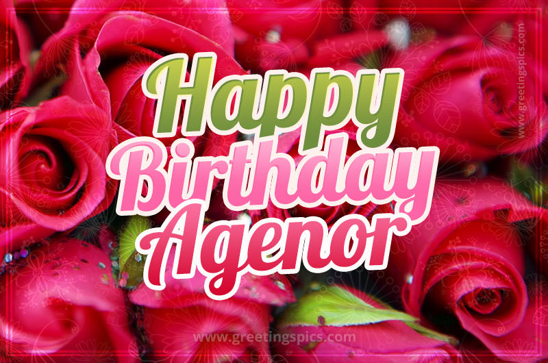 Happy Birthday Agenor beautiful Image with red roses