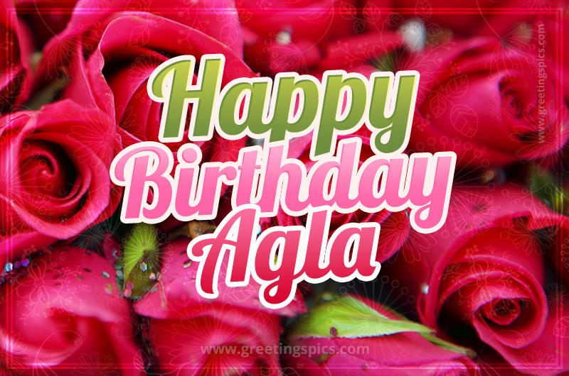 Happy Birthday Agla beautiful Image with red roses