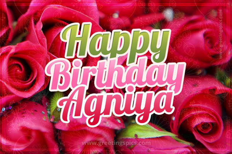 Happy Birthday Agniya beautiful Image with red roses