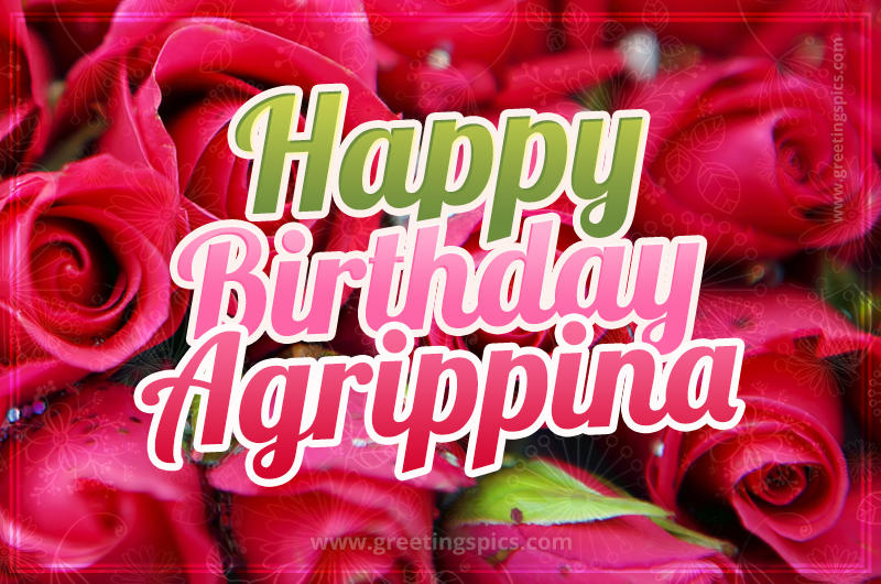 Happy Birthday Agrippina beautiful Image with red roses