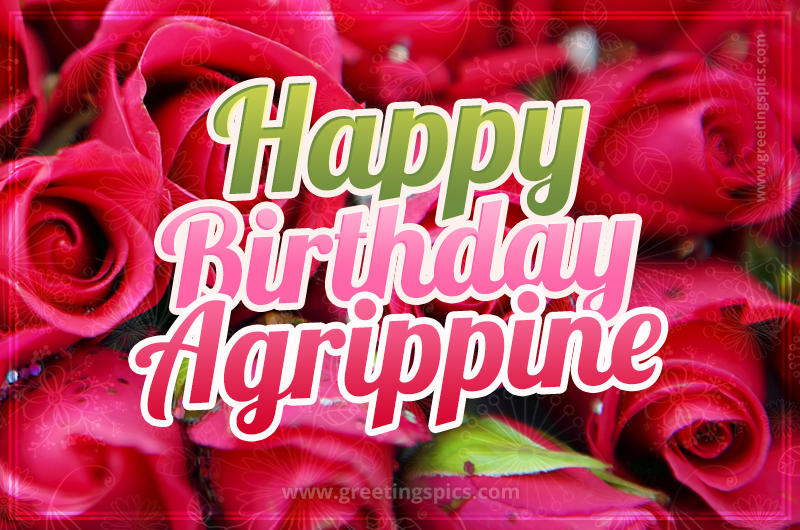 Happy Birthday Agrippine beautiful Image with red roses