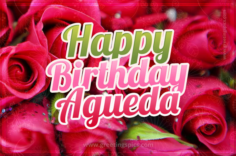 Happy Birthday Agueda beautiful Image with red roses