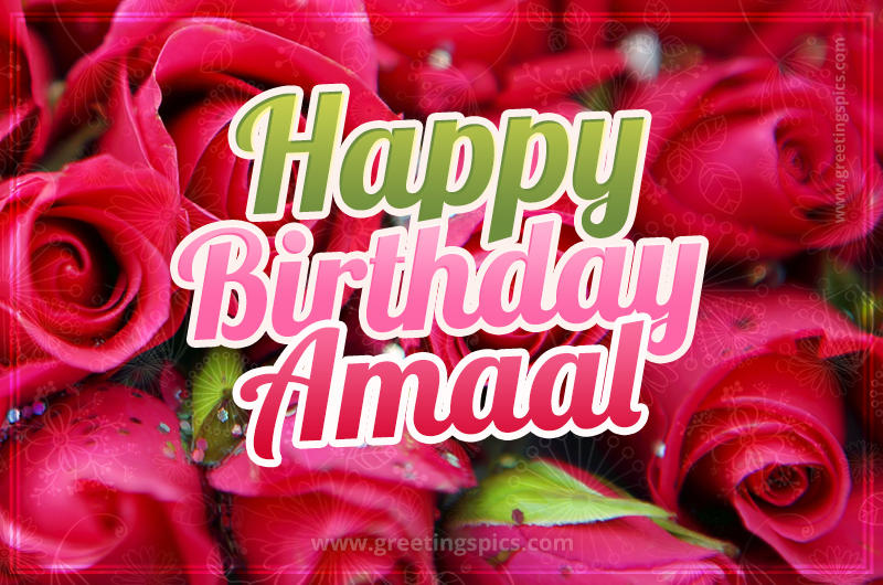 Happy Birthday Amaal beautiful Image with red roses