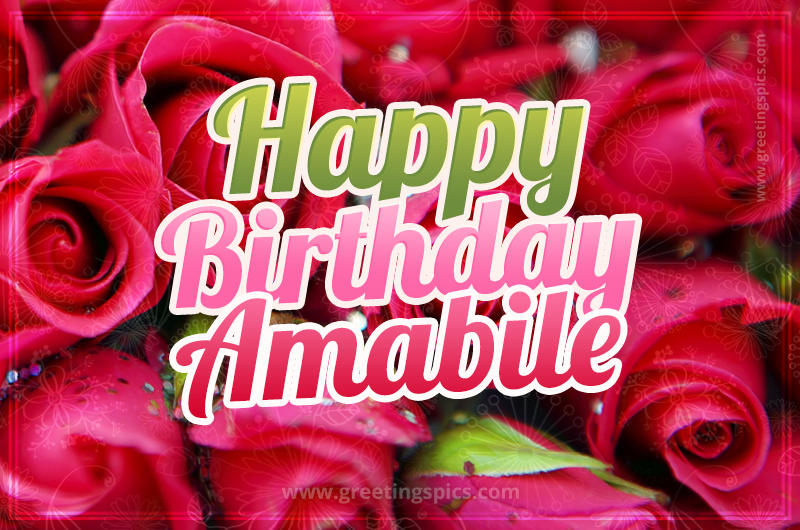 Happy Birthday Amabile beautiful Image with red roses