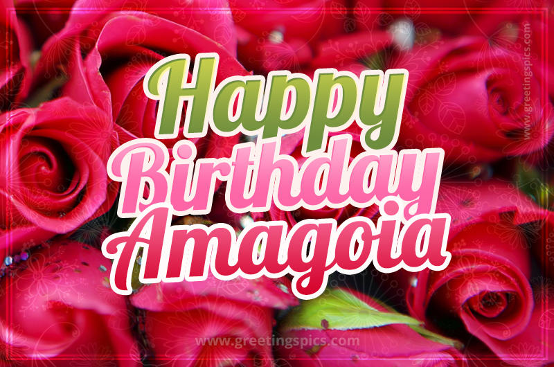 Happy Birthday Amagoia beautiful Image with red roses