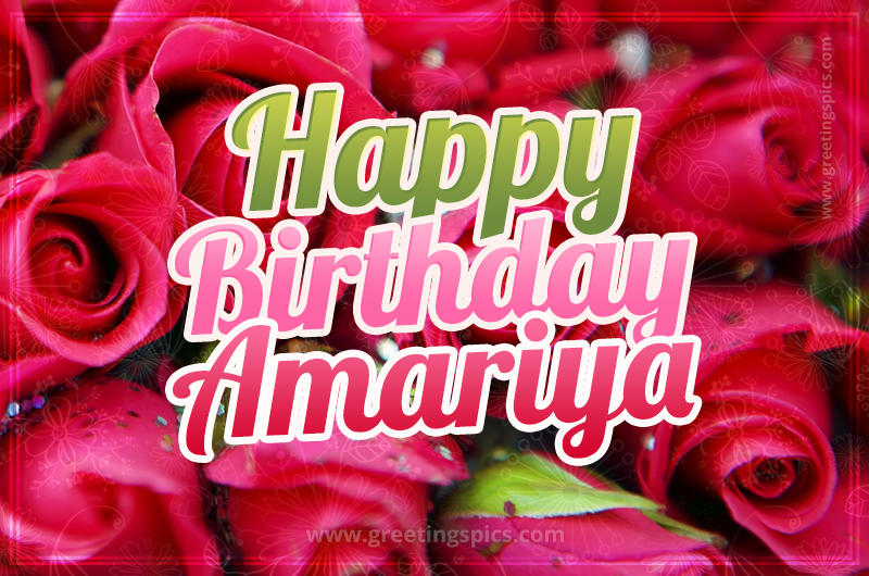 Happy Birthday Amariya beautiful Image with red roses