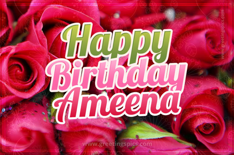 Happy Birthday Ameena beautiful Image with red roses