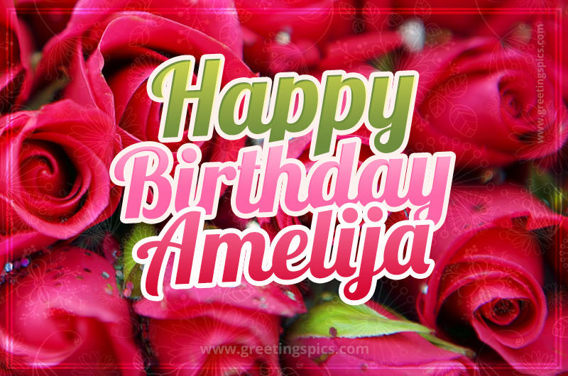 Happy Birthday Amelija beautiful Image with red roses