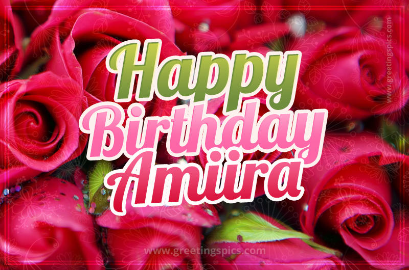 Happy Birthday Amiira beautiful Image with red roses