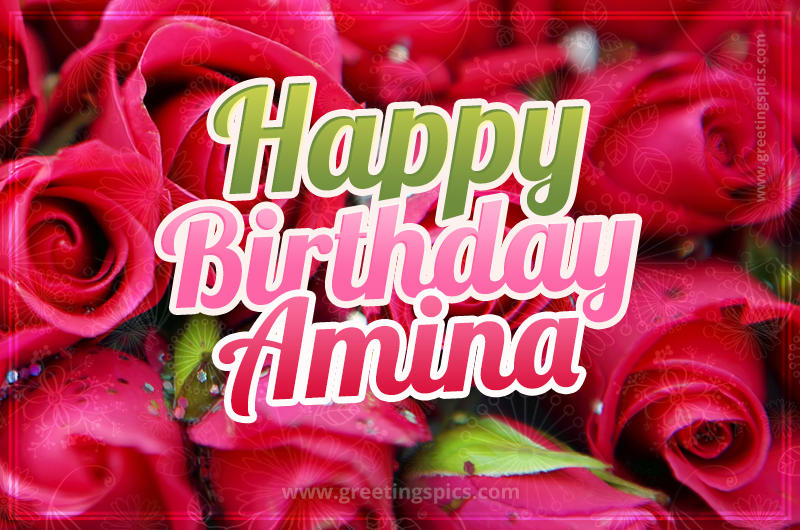 Happy Birthday Amina beautiful Image with red roses