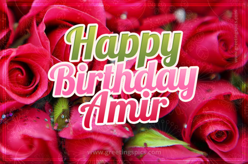 Happy Birthday Amir beautiful Image with red roses