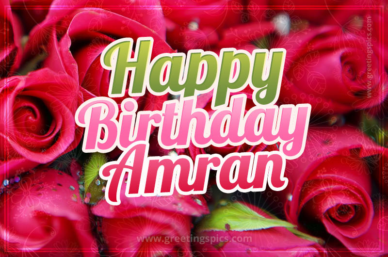 Happy Birthday Amran beautiful Image with red roses