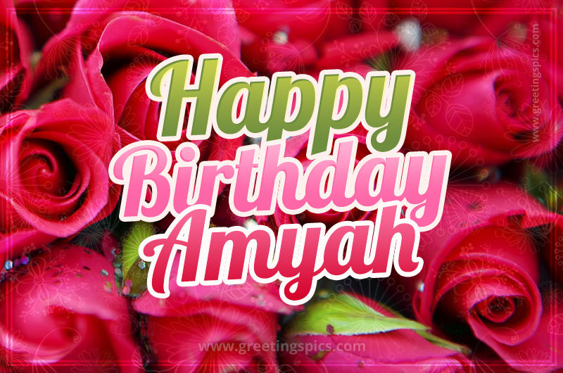 Happy Birthday Amyah beautiful Image with red roses