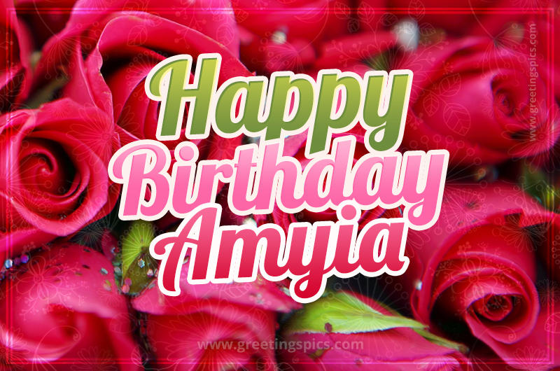 Happy Birthday Amyia beautiful Image with red roses