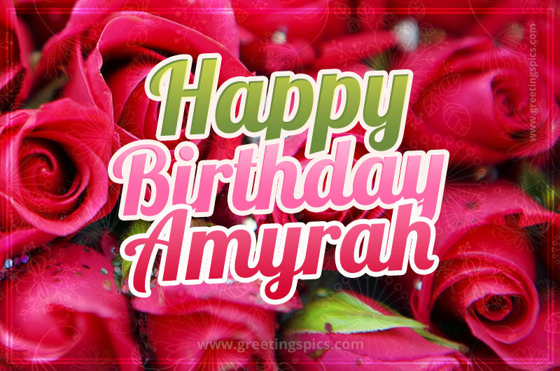 Happy Birthday Amyrah beautiful Image with red roses