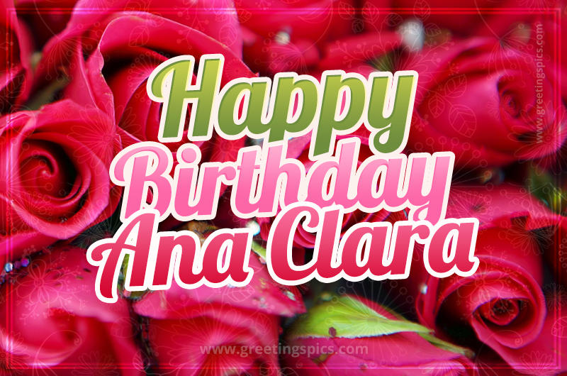 Happy Birthday Ana Clara beautiful Image with red roses