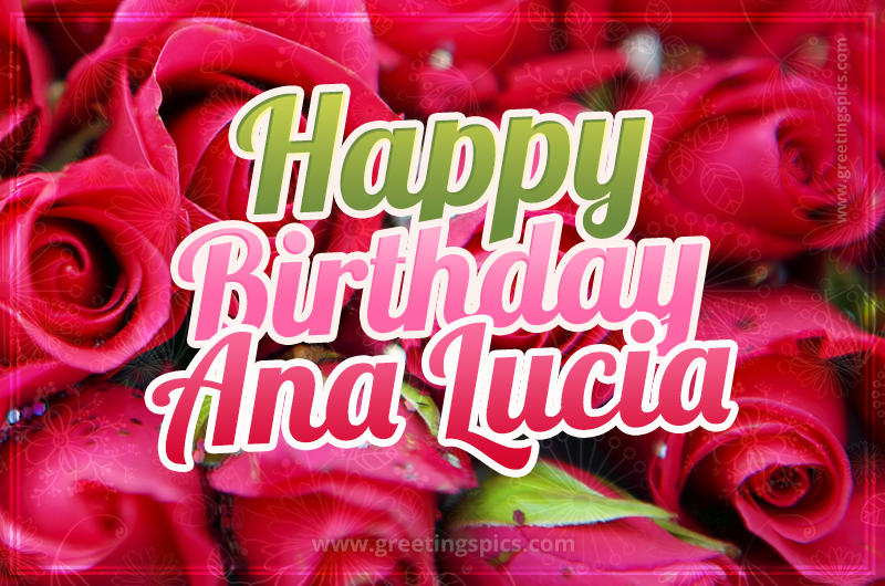 Happy Birthday Ana Lucia beautiful Image with red roses