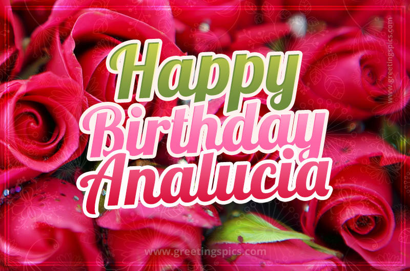 Happy Birthday Analucia beautiful Image with red roses