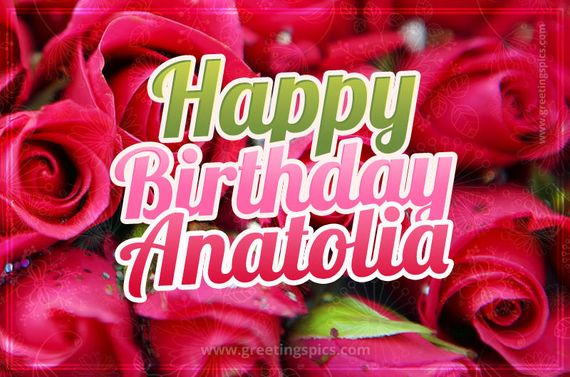 Happy Birthday Anatolia beautiful Image with red roses