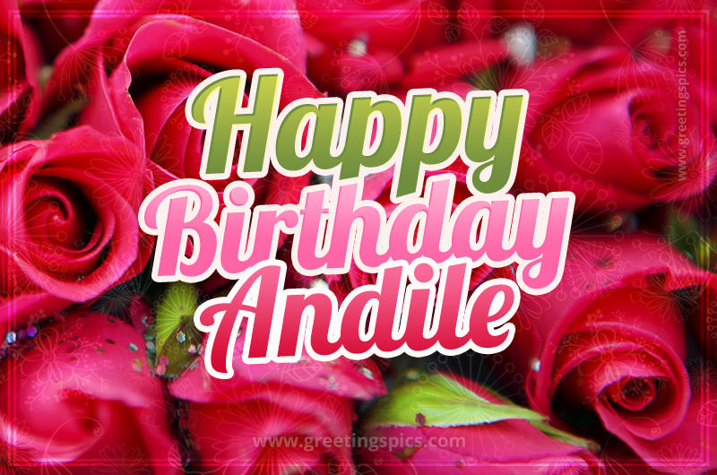 Happy Birthday Andile beautiful Image with red roses