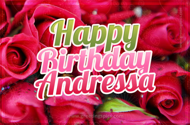 Happy Birthday Andressa beautiful Image with red roses