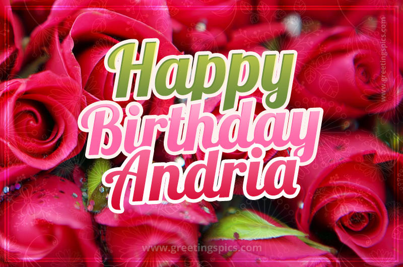 Happy Birthday Andria beautiful Image with red roses