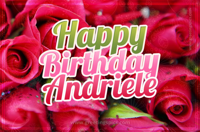 Happy Birthday Andriele beautiful Image with red roses