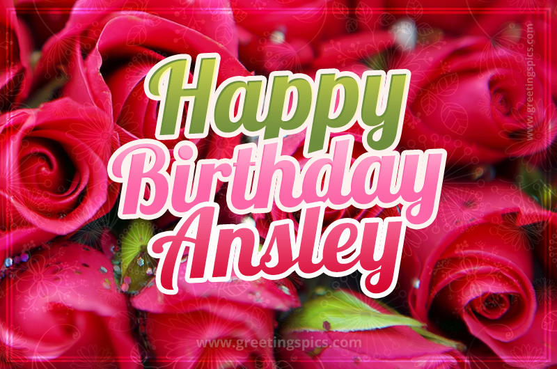 Happy Birthday Ansley beautiful Image with red roses