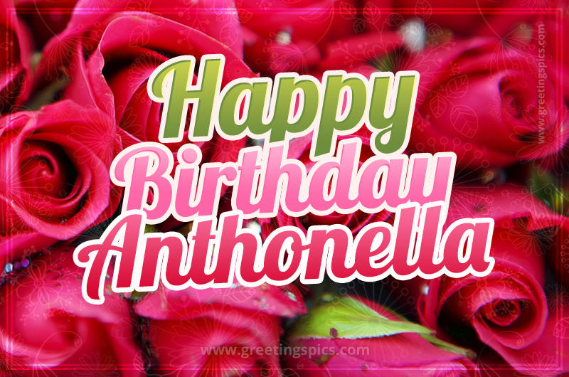 Happy Birthday Anthonella beautiful Image with red roses