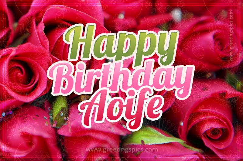 Happy Birthday Aoife beautiful Image with red roses